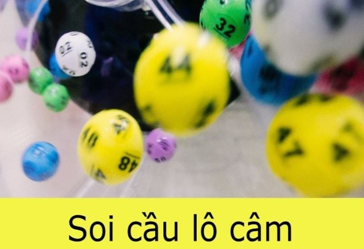 Hướng dẫn rất đơn giản và chi tiết về cách tải xuống các ứng dụng Mn88 dành cho người mới bắt đầu - Mn88